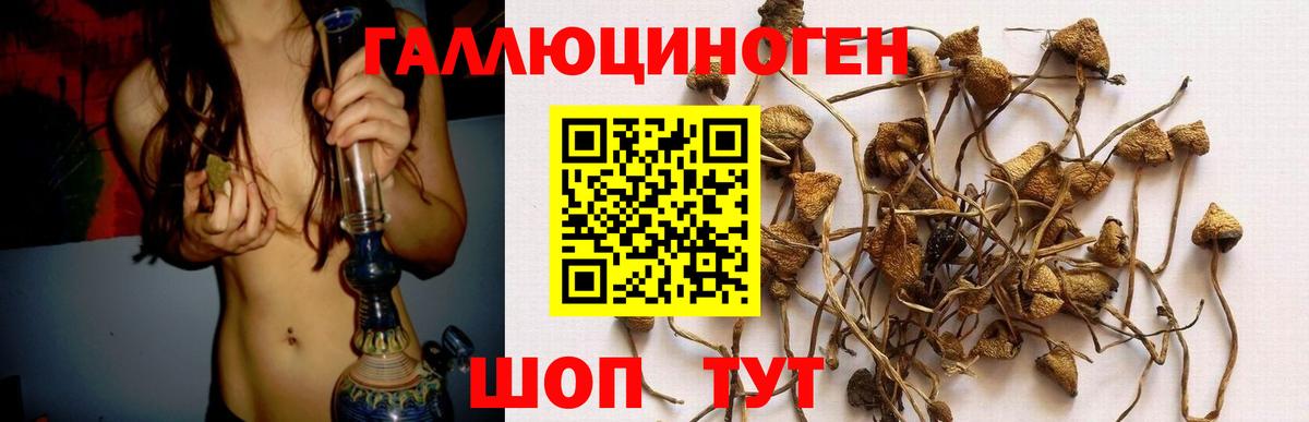 Галлюциногенные грибы прущие грибы  Галлюциногенные грибы Psilocybe  Вход с VPN  Среднеуральск 